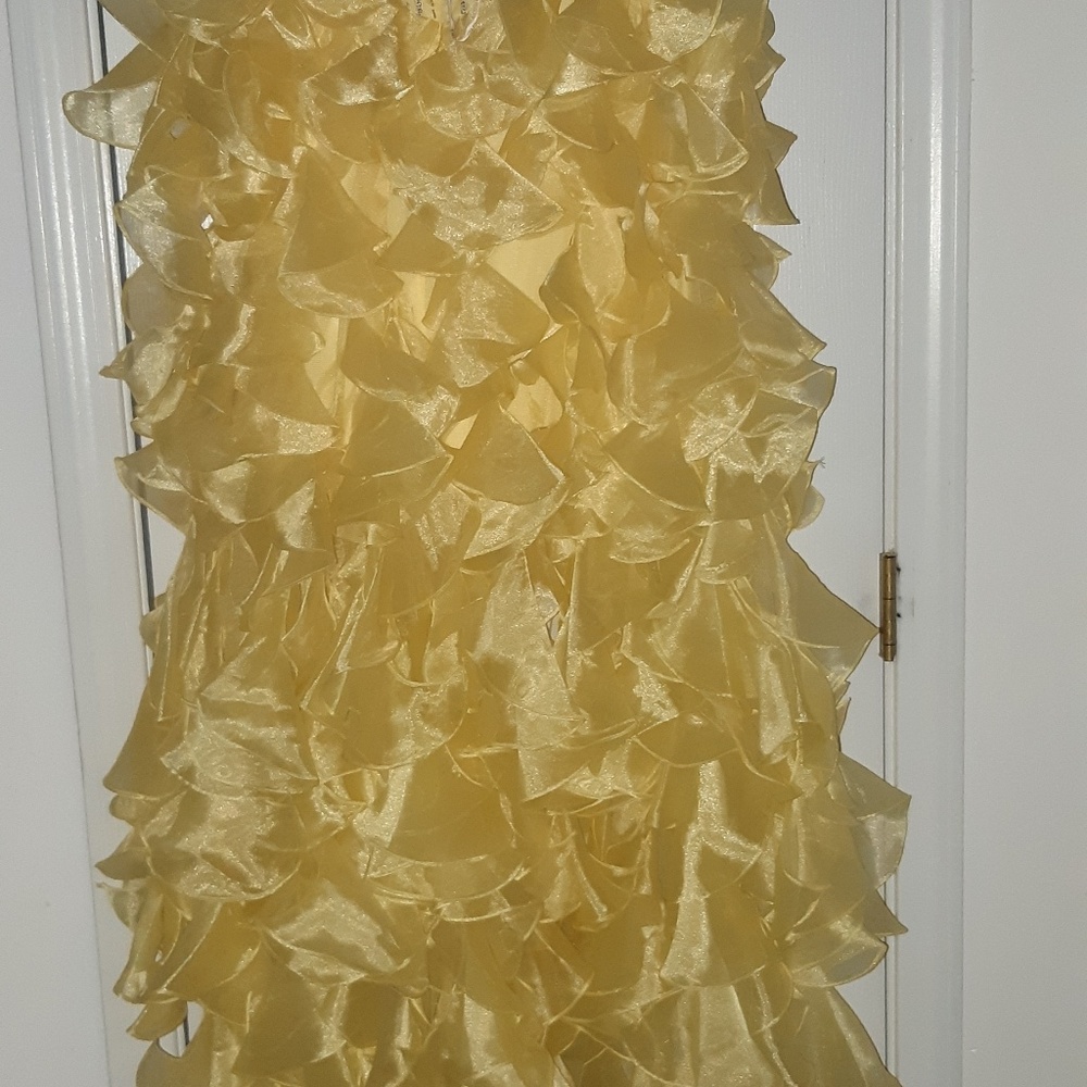 Dress - Picture 4 of 5